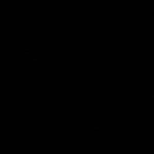 Meet your Posher, Celeste